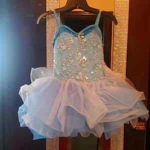 Princess Ballerina Tutu costume